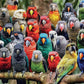Kaleidoscope of Feathers - 1000 Piece Jigsaw Puzzle Jigsaw Puzzles Cross & Glory