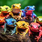 Rainbow Ribbit: Frog Ensemble - 1000 Piece Jigsaw Puzzle Jigsaw Puzzles Cross & Glory
