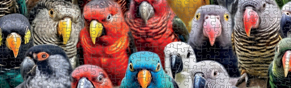 Using Jigsaw Puzzles to Prevent and Serve as Therapy for Alzheimer's - Part 2