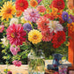 Rainbow Dahlia Delight - 1000 Piece Jigsaw Puzzle