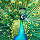 Emerald Peacock - 1000 Piece Jigsaw Puzzle