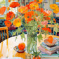 Poppies Panorama: Orange Elegance - 1000 Piece Jigsaw Puzzle