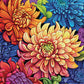 Majestic Mums: Bouquet of Brilliance - 1000 Piece Jigsaw Puzzle
