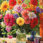 Rainbow Dahlia Delight - 1000 Piece Jigsaw Puzzle