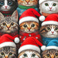 Cat Puzzle – Whisker Wonderland: Holiday Cats Edition – 1000 Piece Jigsaw Puzzle