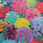 Garden Puzzle – Gilded Dahlia Symphony – 1000 Piece Jigsaw Puzzle