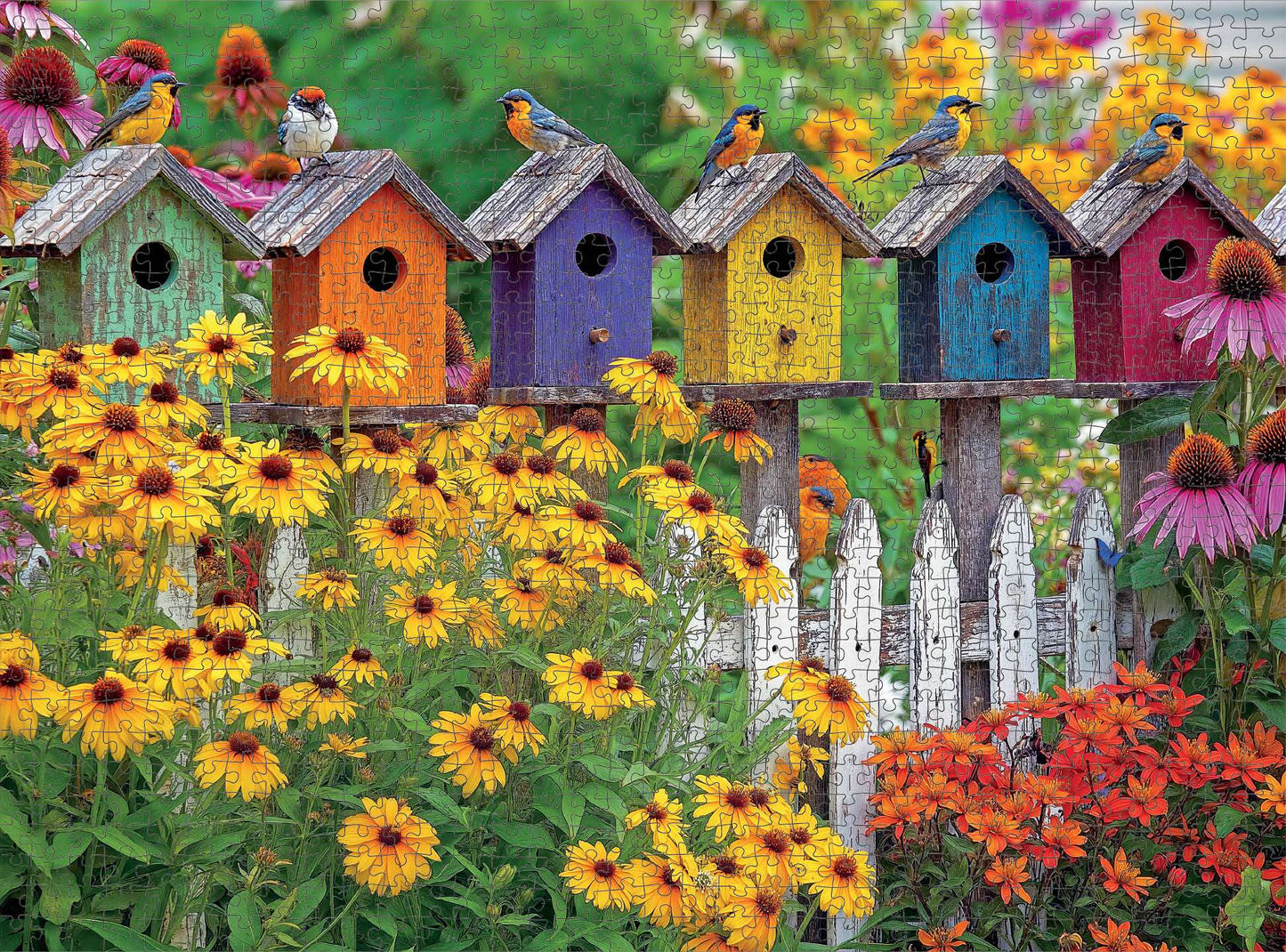 Art Puzzle – A Fence Full of Song – 1000 Piece Jigsaw Puzzle