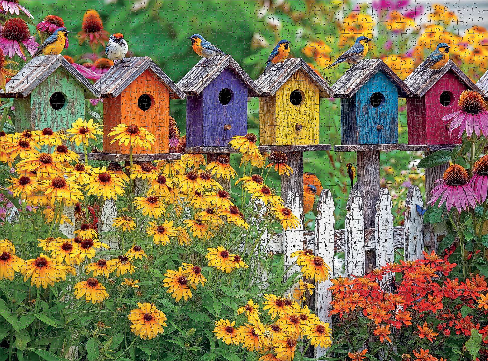 Art Puzzle – A Fence Full of Song – 1000 Piece Jigsaw Puzzle