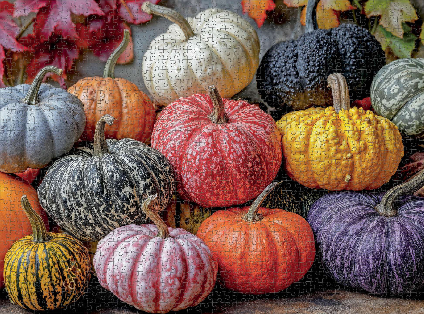 Fall Puzzle – Harvest for The Table – 1000 Piece Jigsaw Puzzle