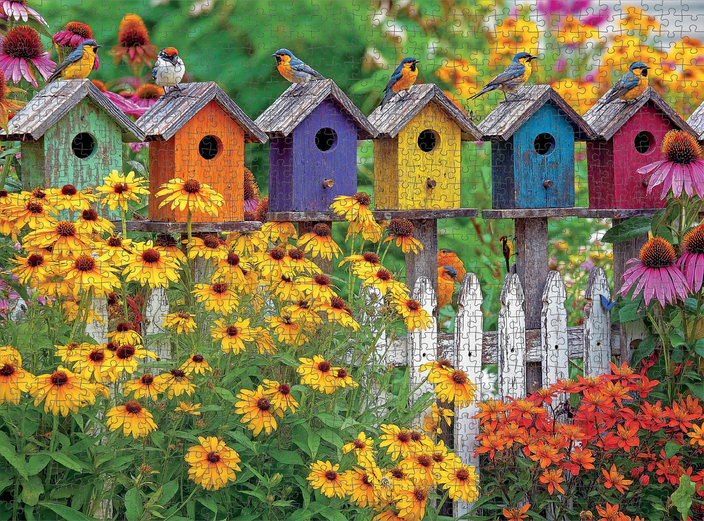 A Fence Full of Song - 1000 Piece Jigsaw Puzzle
