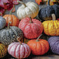 Harvest for The Table - 1000 Piece Jigsaw Puzzle
