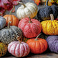 Harvest for The Table - 1000 Piece Jigsaw Puzzle
