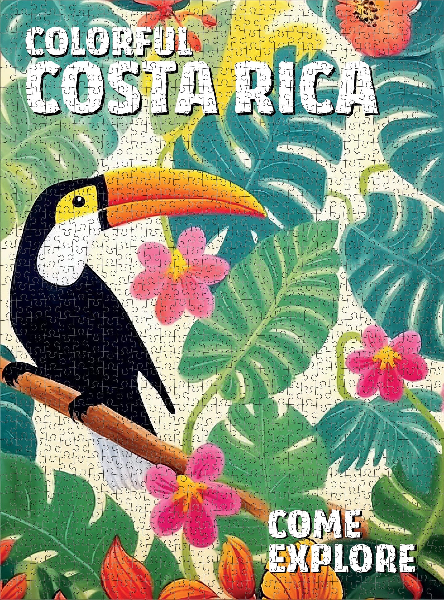 Costa Rica in Color - 1000 Piece Jigsaw Puzzle Jigsaw Puzzles Cross & Glory