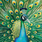 Emerald Peacock - 1000 Piece Jigsaw Puzzle Jigsaw Puzzles Cross & Glory