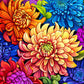 Majestic Mums: Bouquet of Brilliance - 1000 Piece Jigsaw Puzzle Jigsaw Puzzles Cross & Glory