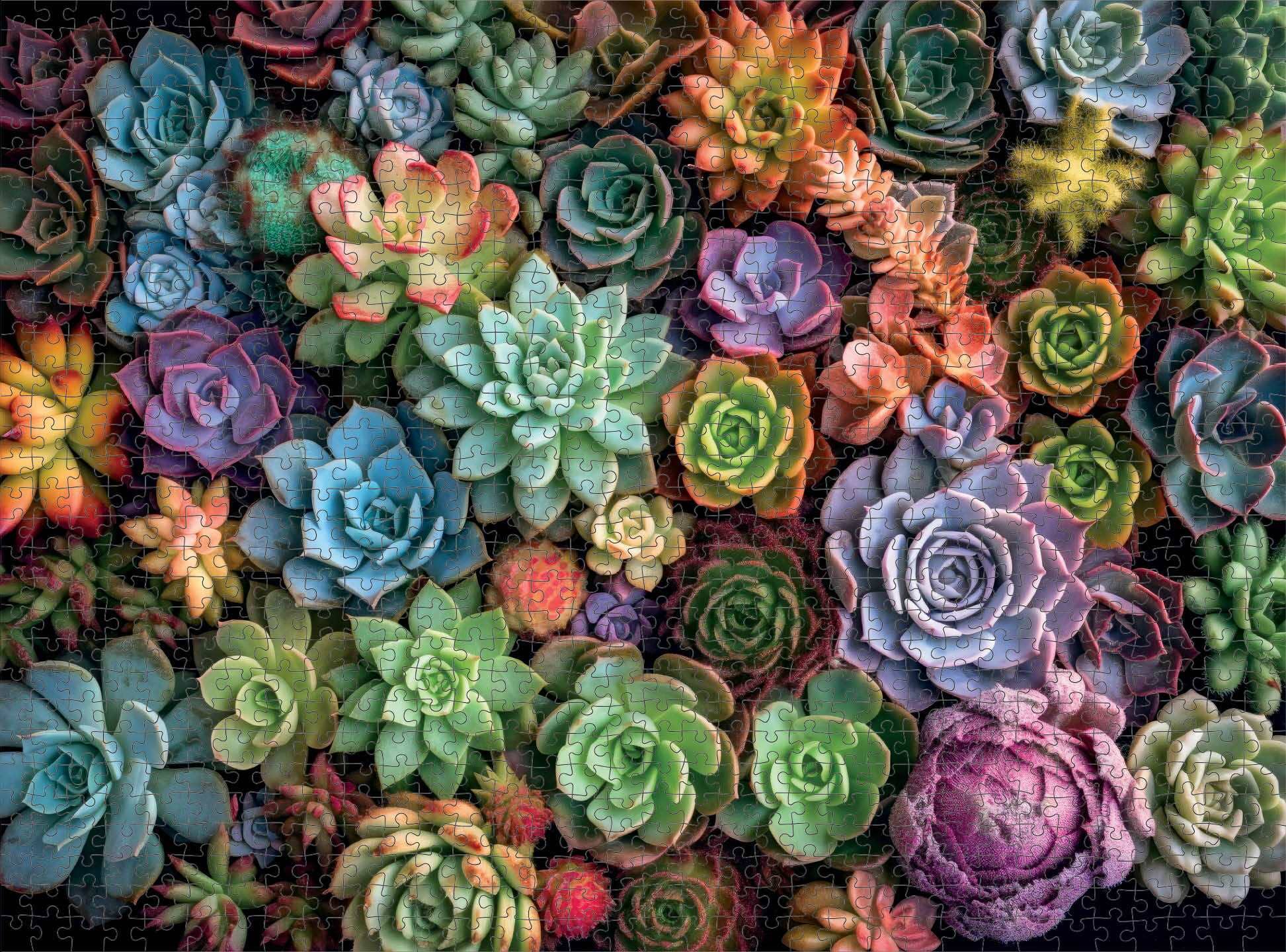 eco succulents Cross & Glory - Succulent Symphony - 1000 Piece Jigsaw Puzzle for Adults | Premium Quality | Colorful Artwork Puzzle